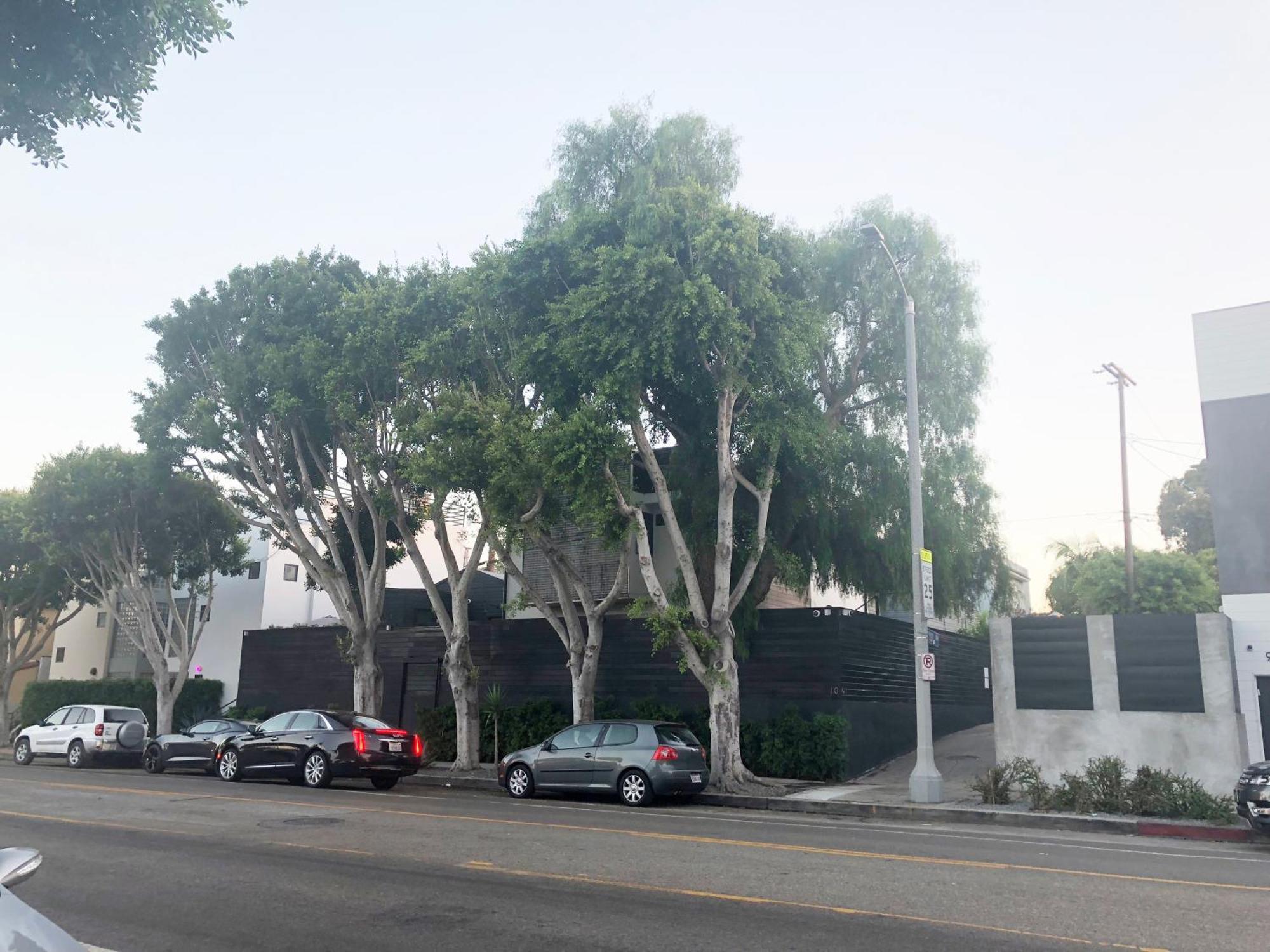 Venice Beach Studio With Large Private Patio Steps To The Beach Los Angeles Exterior photo